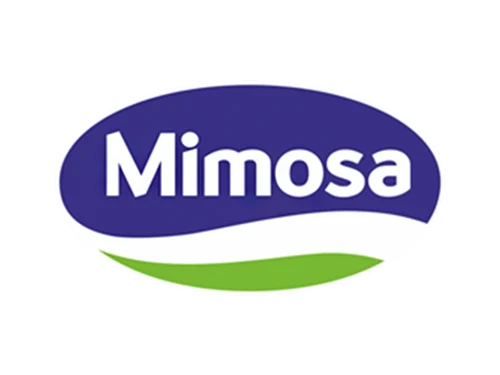 mimosa