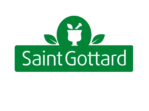 saint-gottard